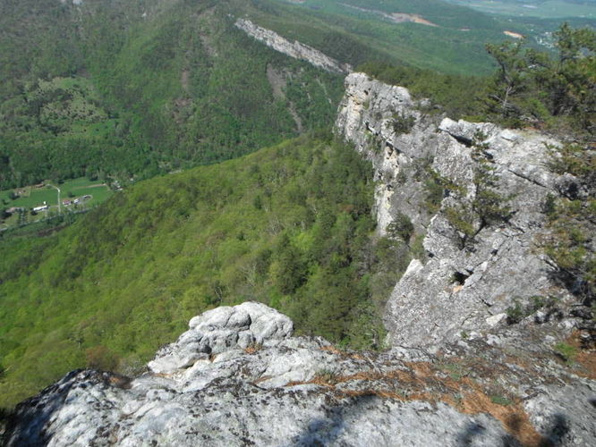 Picture 64 of North Fork Mountain Hike 051014