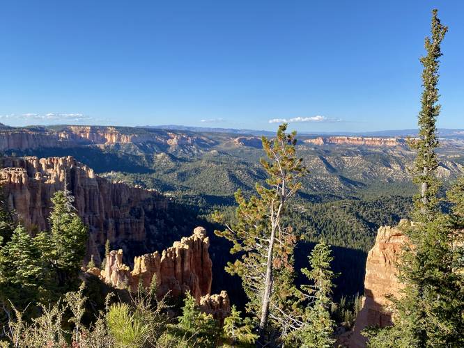 Picture 2 of North Fork Overlook Bryce Canyon