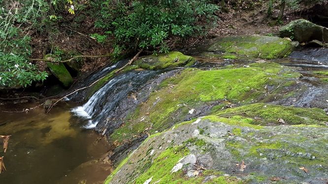 Picture 3 of North Harper Creek Falls Hike 071215