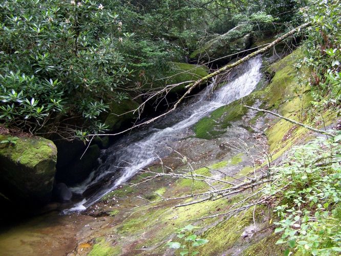 Picture 21 of North Harper Creek Falls Hike 071215