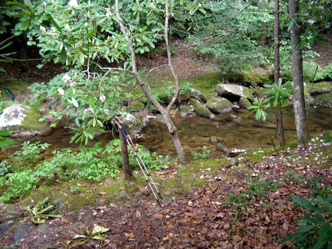 Picture 24 of North Harper Creek Falls Hike 071215