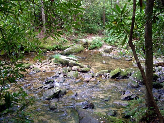 Picture 30 of North Harper Creek Falls Hike 071215