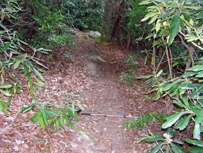 Picture 32 of North Harper Creek Falls Hike 071215