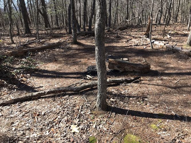 Picture 4 of North Mountain Trail Hike 030418
