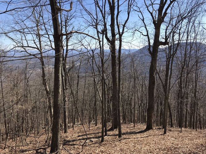 Picture 5 of North Mountain Trail Hike 030418