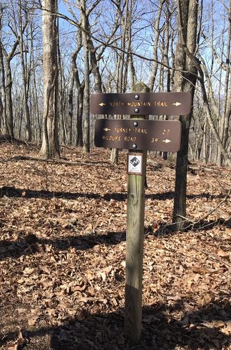 Picture 22 of North Mountain Trail Hike 030418