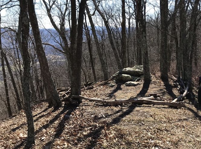 Picture 23 of North Mountain Trail Hike 030418