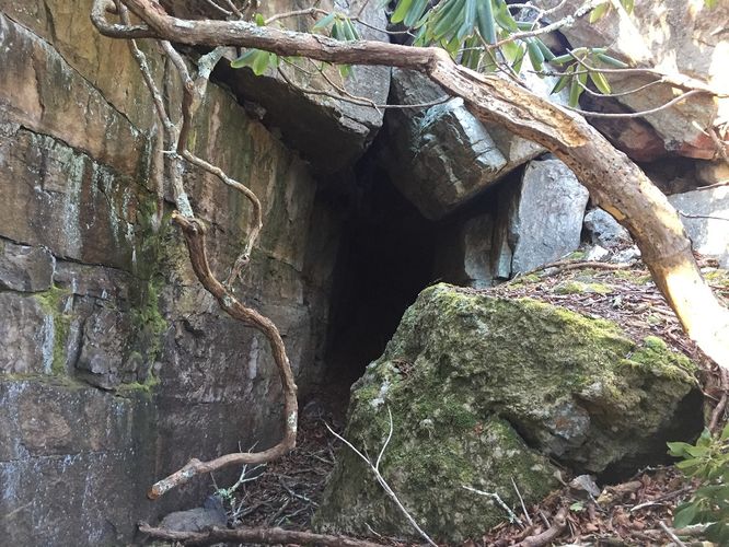 Picture 6 of North Mountain and Petes Cave Hike