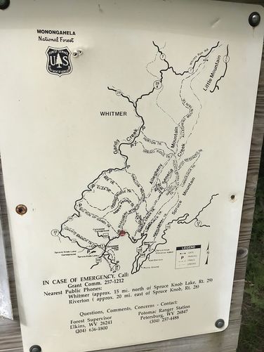 Picture 2 of North Prong and Big Run Hike 082518