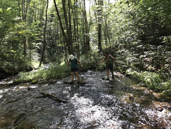 Picture 12 of North Prong and Big Run Hike 082518