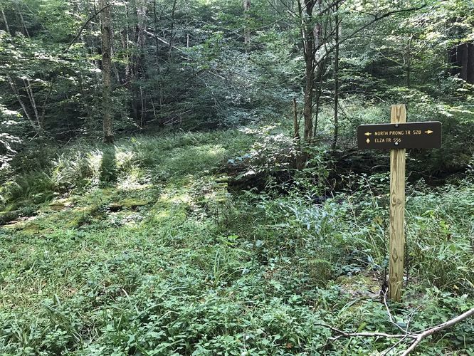 Picture 13 of North Prong and Big Run Hike 082518