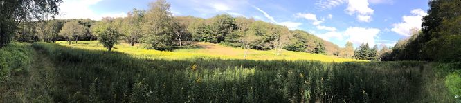Picture 15 of North Prong and Big Run Hike 082518