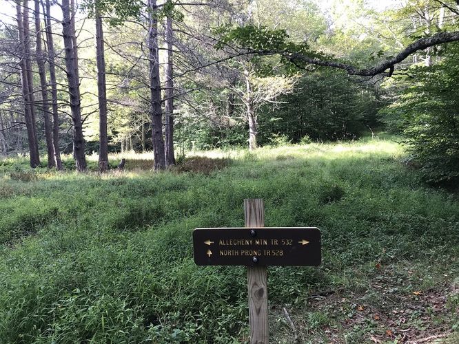 Picture 16 of North Prong and Big Run Hike 082518