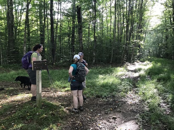 Picture 17 of North Prong and Big Run Hike 082518