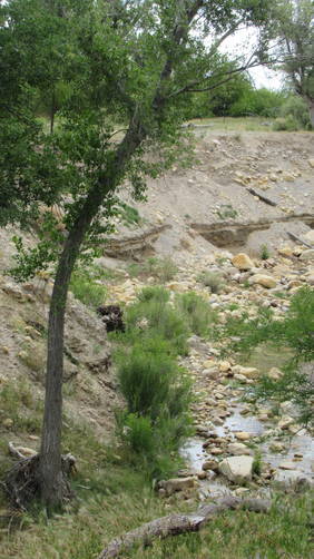 Sandstone Wash Creek