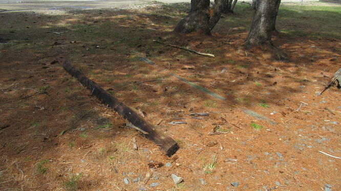 Old Rail Road Ties can still be seen along the trail