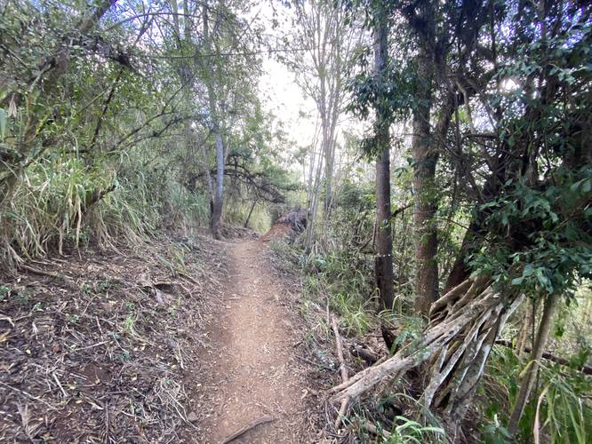 Picture 4 of Nounou East Trail Sleeping Giant