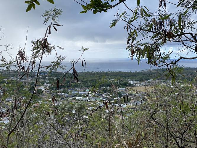 View of Wailua, HI (Kauai)