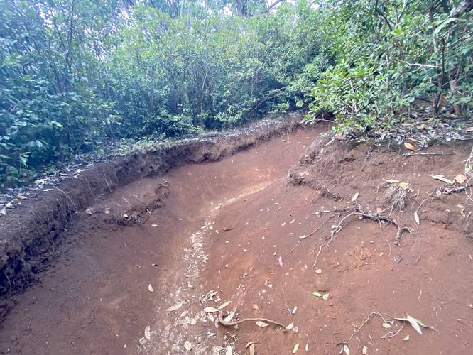 Trail follows what appears to be a dry wash or run - heavy rains likely wash down the trail here