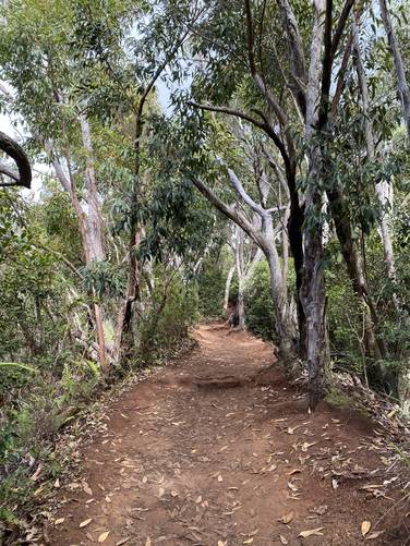 Picture 26 of Nounou East Trail Sleeping Giant