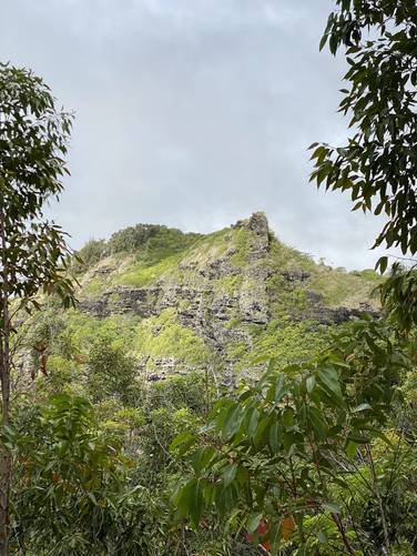 Picture 29 of Nounou East Trail Sleeping Giant