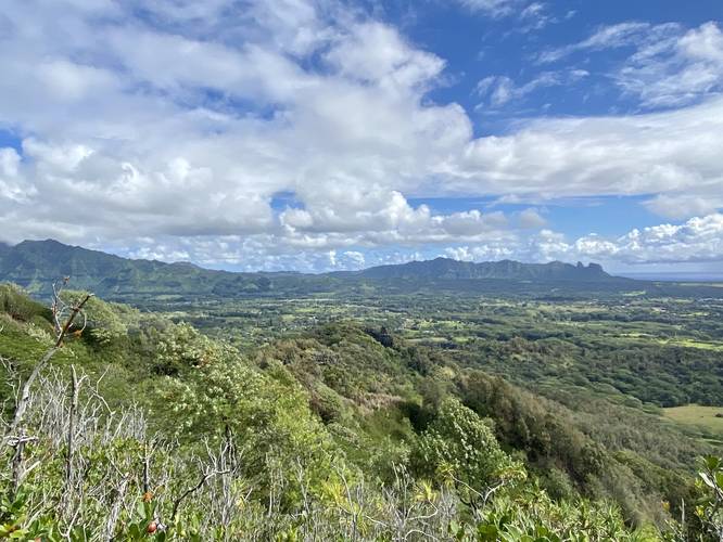 View of the Moloa'a mountain range facing north from Nounou (Sleeping Giant) mountain