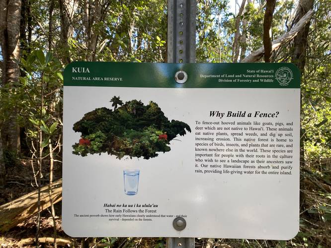 Information sign about forest fences to keep hooved-animals out and to help save native Hawaiian plant species