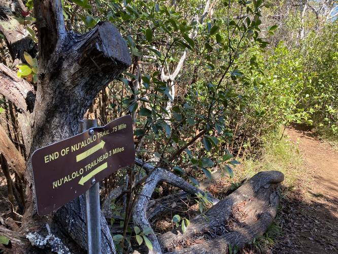 Signage for end of Nu'alolo Trail and Nu'alolo Trailhead at junction with Nu'alolo Cliff Trail