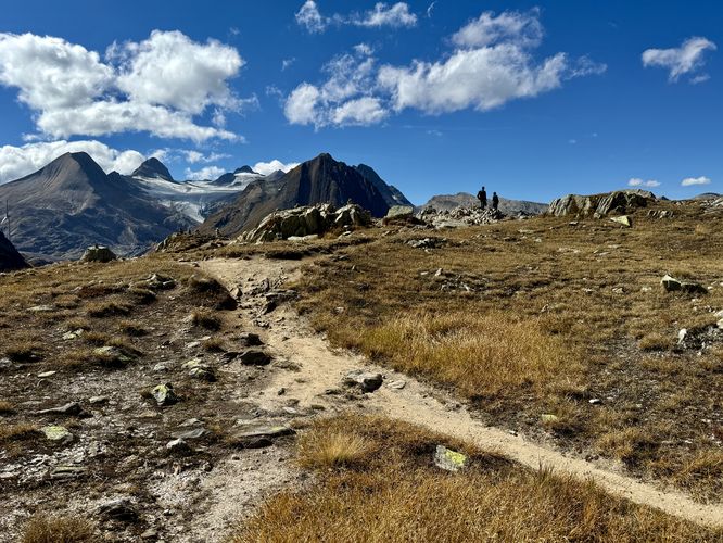 Hikers standing at a viewpoint at Nufenen Pass