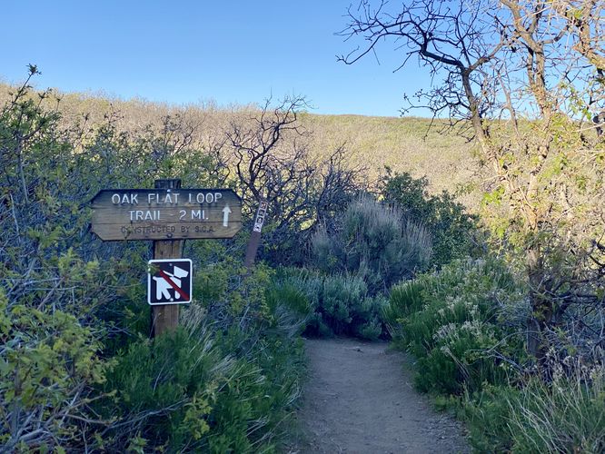 Oak Flat Loop Trail trailhead