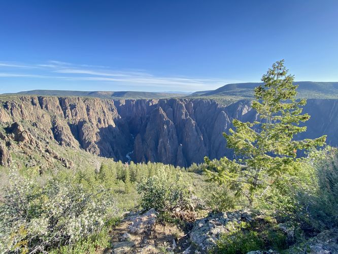 On-trail view into the Black Canyon and Gunnison River (wide angle)