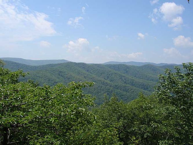 Oak Knob Hike - Oak Knob Hike 080208 album