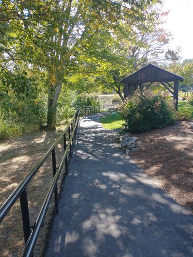 Access to Shannon Pond