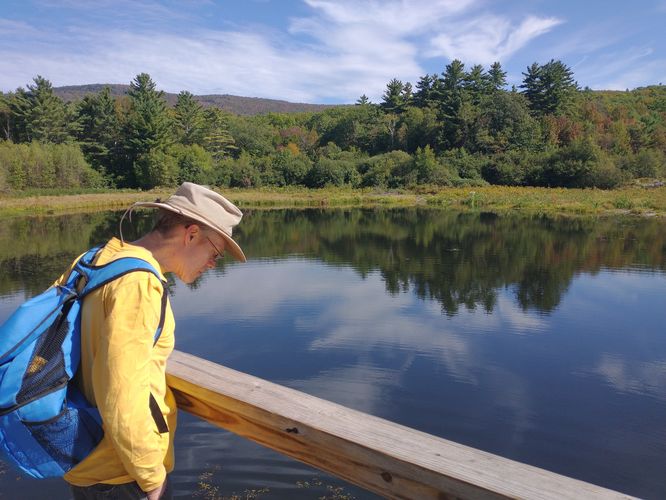 Views of Shannon Pond (man made, but still beautiful)