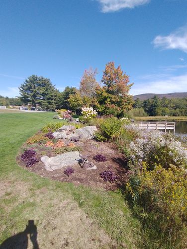 One of the gardens at Shannon Pond near the trailhead entrance
