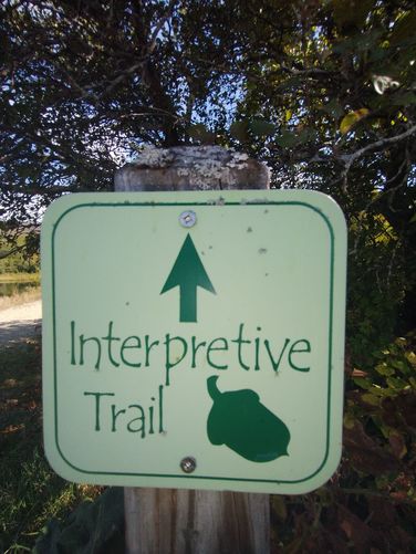 Head down Shannon Pond Road to the Kiosk and trailhead