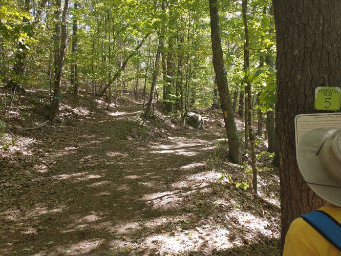 The junction of the Turtleback Mountain Trail and the oak Ridge Interpretive Trail 