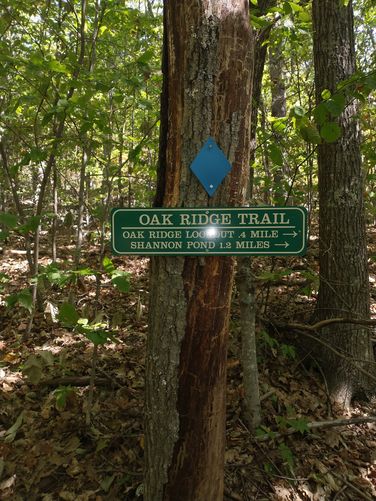 Trail signage and blaze