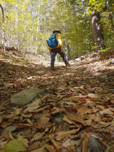 The ascent has some sections of steeper elevation, but not too severe or lasting for long. 