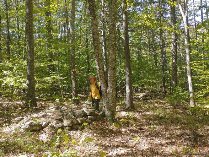 One of 20 stone mounds discovered here. Who left them and why remains a mystery.