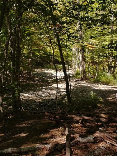 Shannon Brook as seen from the trail