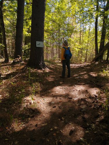 A sign along the trail as you leave the forest  and head back to Shannon Pond