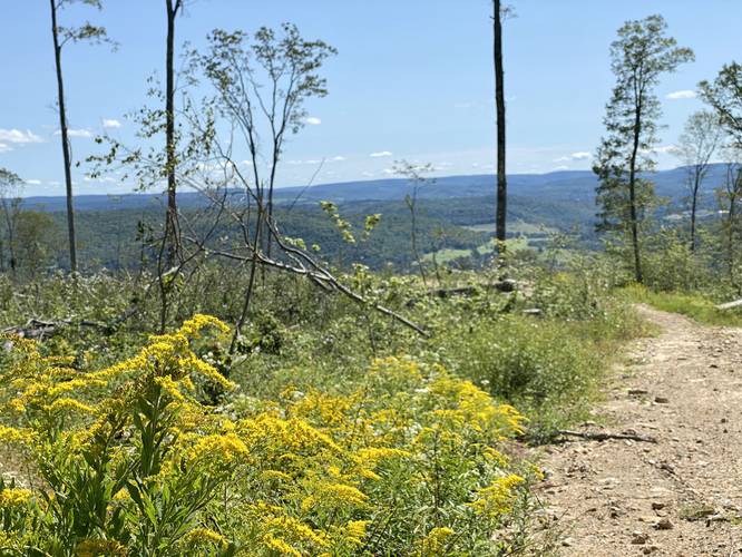 Picture 21 of Oak Ridge Trail