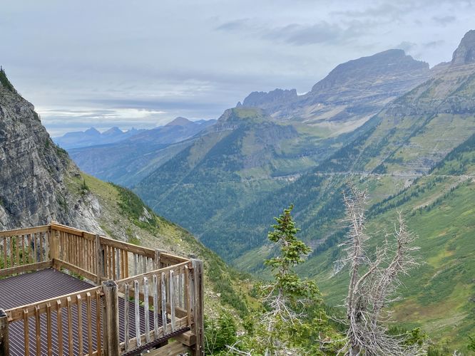 View from Oberlin Bend at Logan Pass