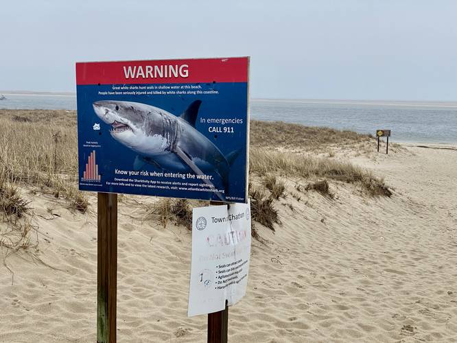 Warning signs - great white sharks