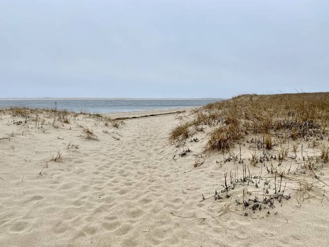 Sandy trail leads to the beach and the Occupy Chatham Shack