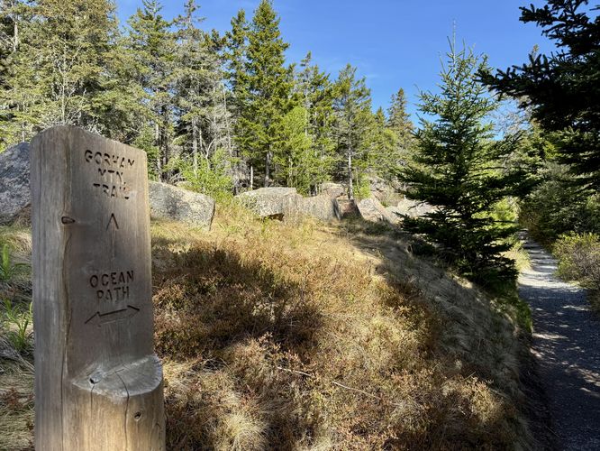 Picture 2 of Ocean Path Gorham Mtn to Sand Beach