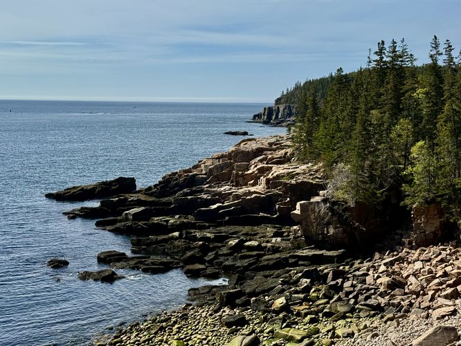 Maine coast in Acadia with the Otter Cliffs in the distance