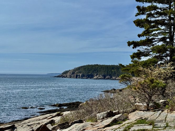 View of the Otter Cliffs and the coast