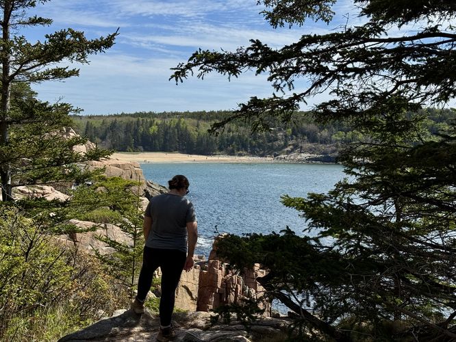 Picture 26 of Ocean Path Gorham Mtn to Sand Beach